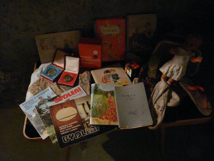 GEMINI z.s. | fotogaleire